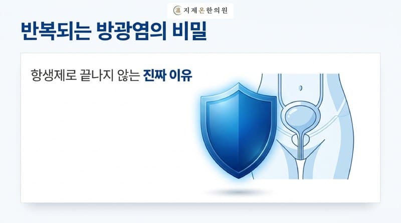 평택 만성방광염 한의원, 항생제를 먹어도 또 도진다면
