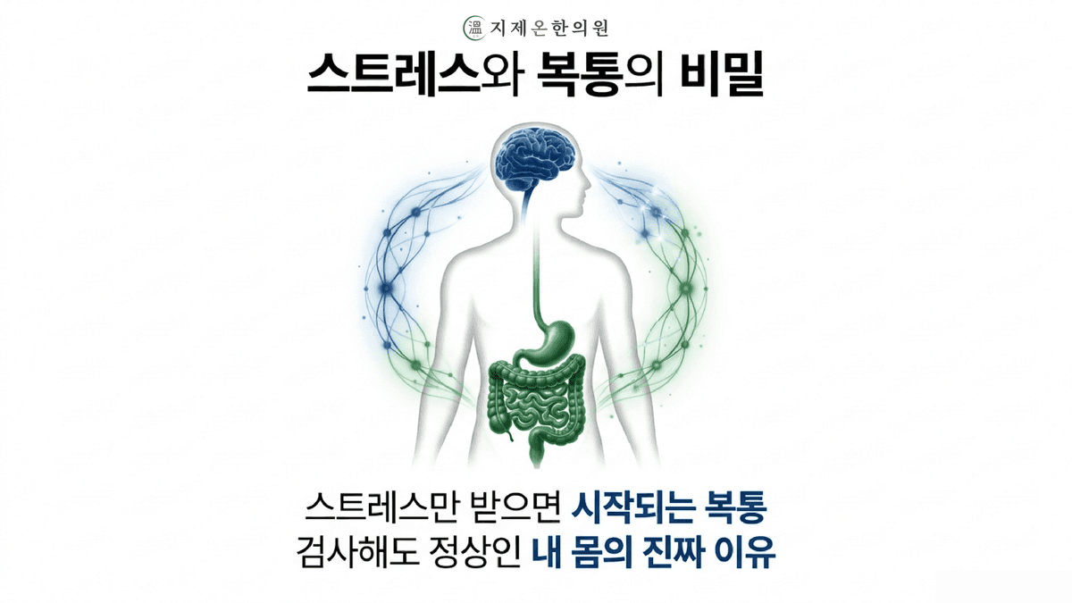 평택 장뇌축 한의원, 스트레스만 받으면 배가 아픈 이유