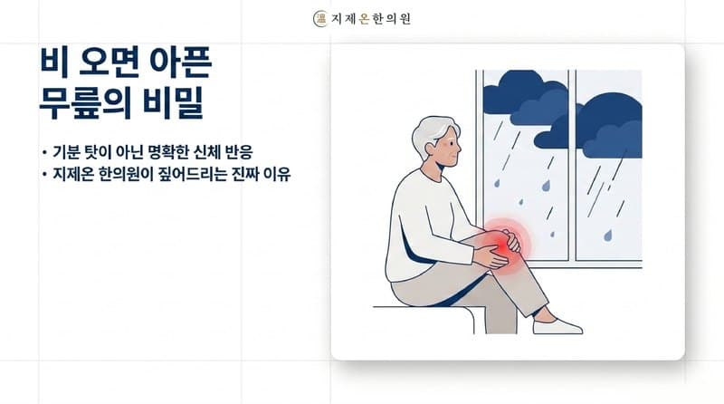 장마철 무릎·허리 통증이 심해지는 진짜 이유