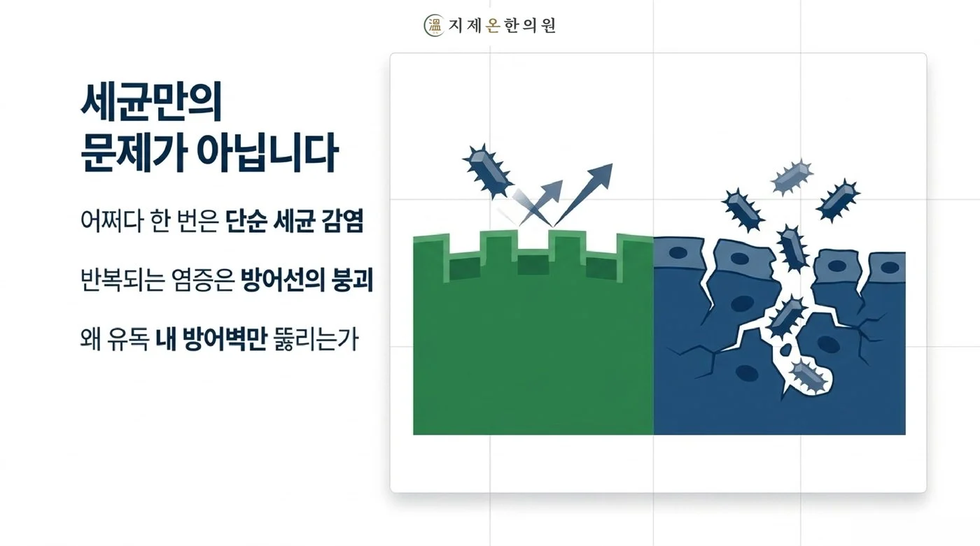 한 번의 방광염은 단순 세균 감염이지만 반복되는 방광염은 방어선이 무너진 상태라는 비교 그림