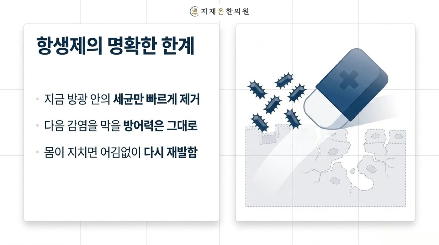 항생제는 지금 방광 안의 세균을 빠르게 없애지만 다음 감염을 막을 방어력은 그대로 남는다는 설명