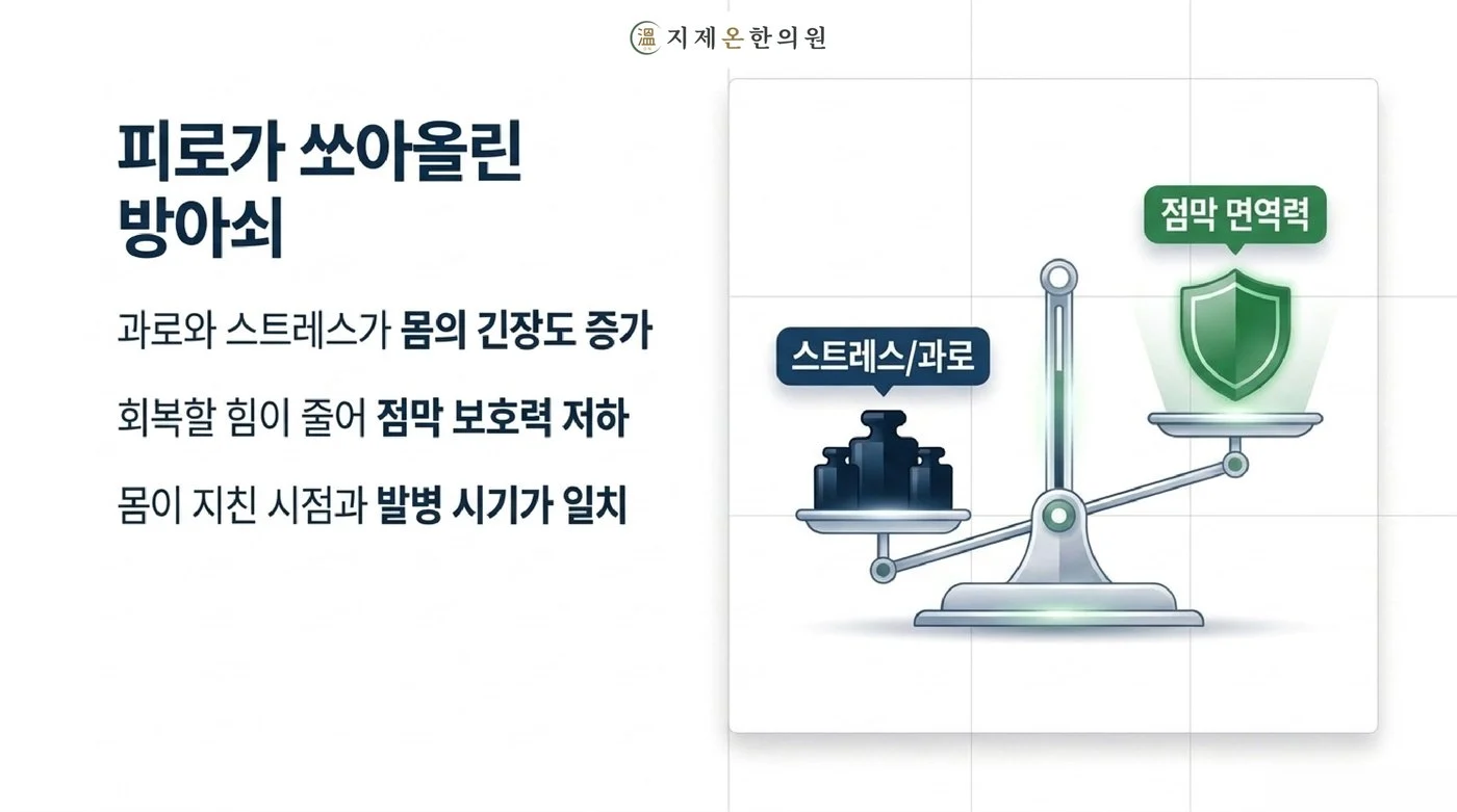 과로와 스트레스가 몸의 긴장을 높여 방광 점막 보호력이 떨어지고, 지친 시점에 방광염이 시작되는 원리