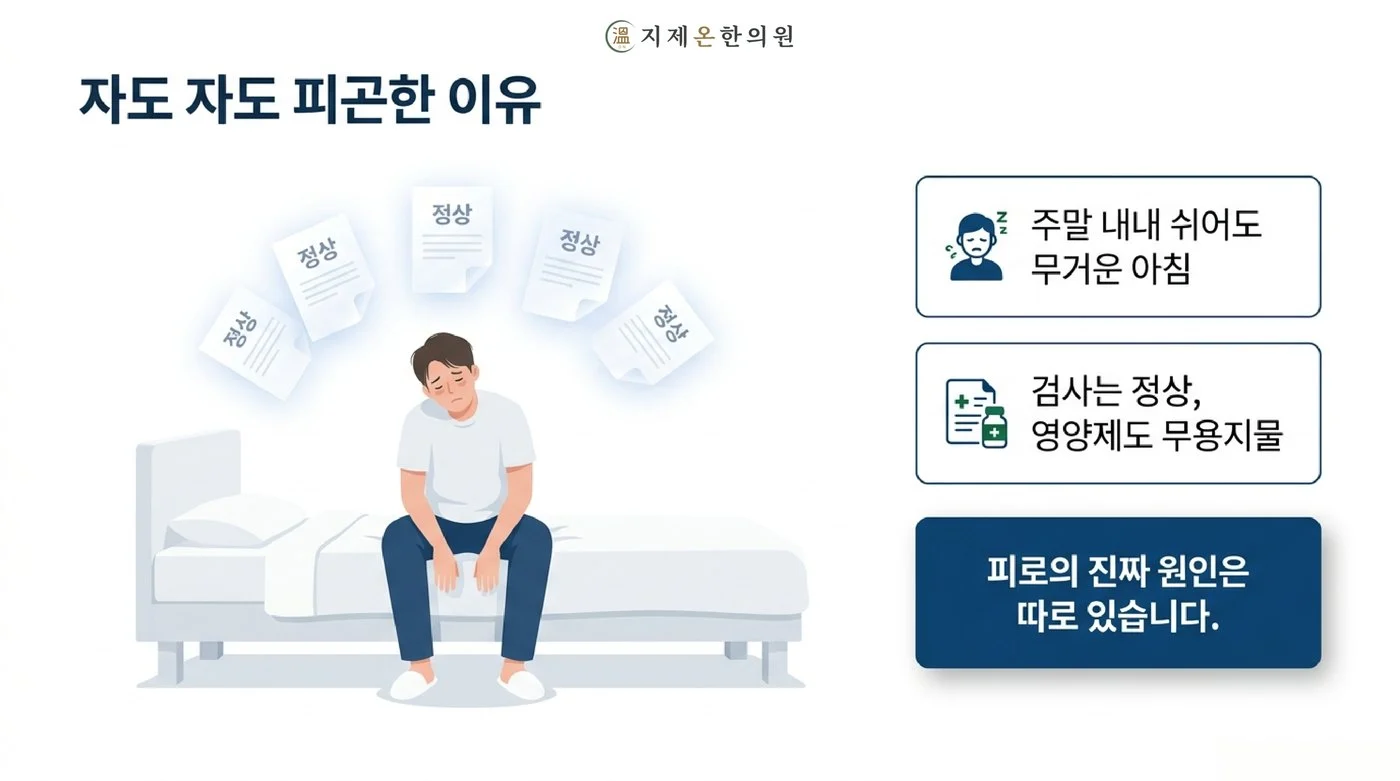검사는 정상인데 주말 내내 쉬어도 아침이 무거운 만성피로