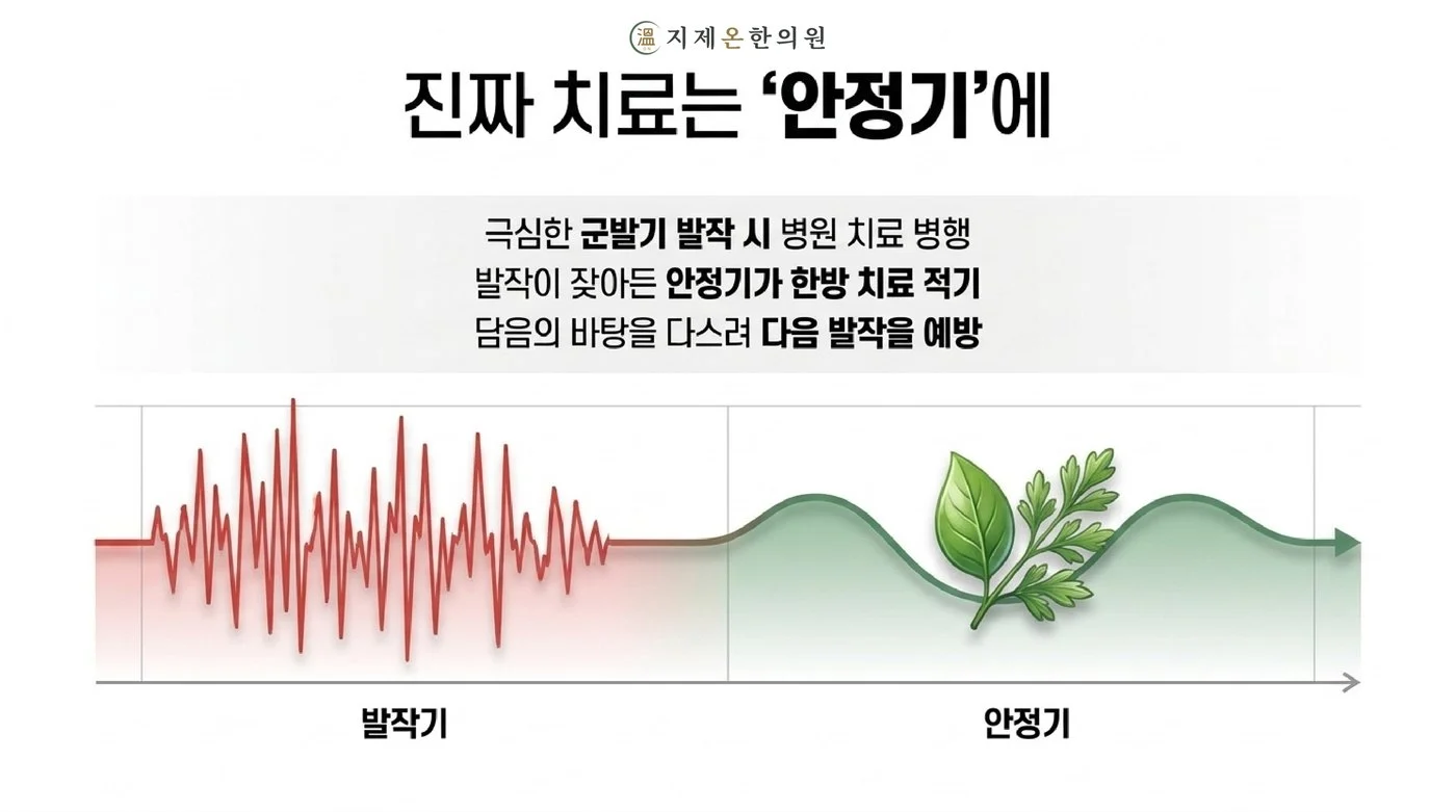 발작이 심한 군발기에는 병원 치료를 병행하고 발작이 잦아든 안정기에 한방 치료로 다음 발작을 준비하는 흐름