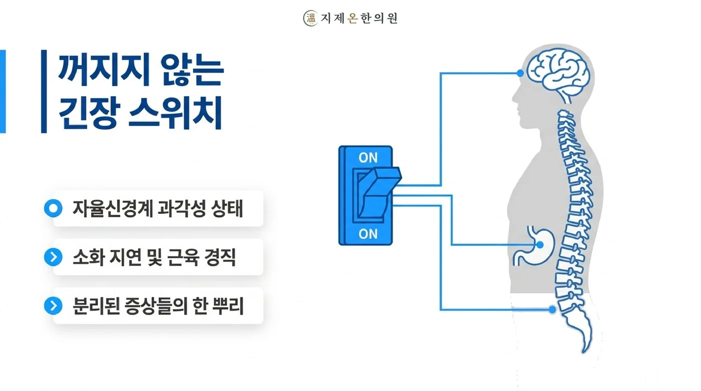 자율신경계가 과각성 상태로 켜져 있어 소화가 지연되고 근육이 굳는, 따로 온 듯한 증상들의 한 뿌리