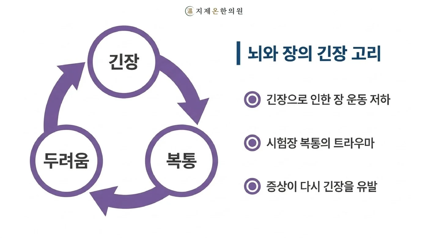 긴장이 장 운동을 떨어뜨리고 시험장 복통의 기억이 다시 긴장을 부르는 뇌와 장의 고리