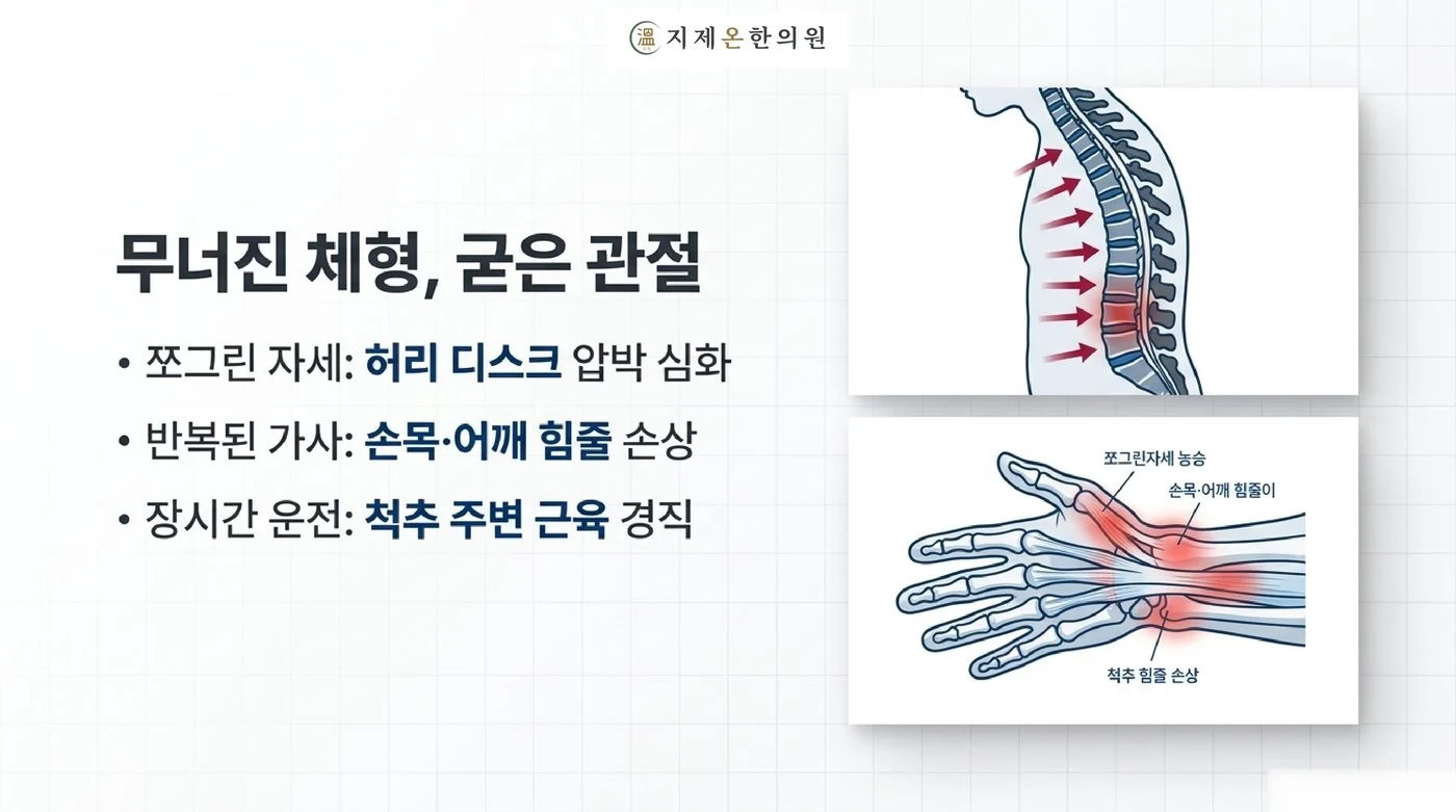 쪼그린 자세의 허리 디스크 부담, 반복된 가사로 인한 손목·어깨 힘줄 손상, 장시간 운전으로 굳은 척추 주변 근육