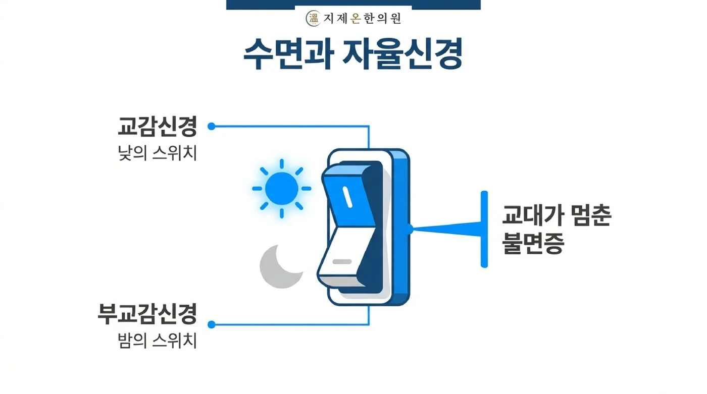 낮의 스위치인 교감신경과 밤의 스위치인 부교감신경이 교대하지 못해 생기는 불면증