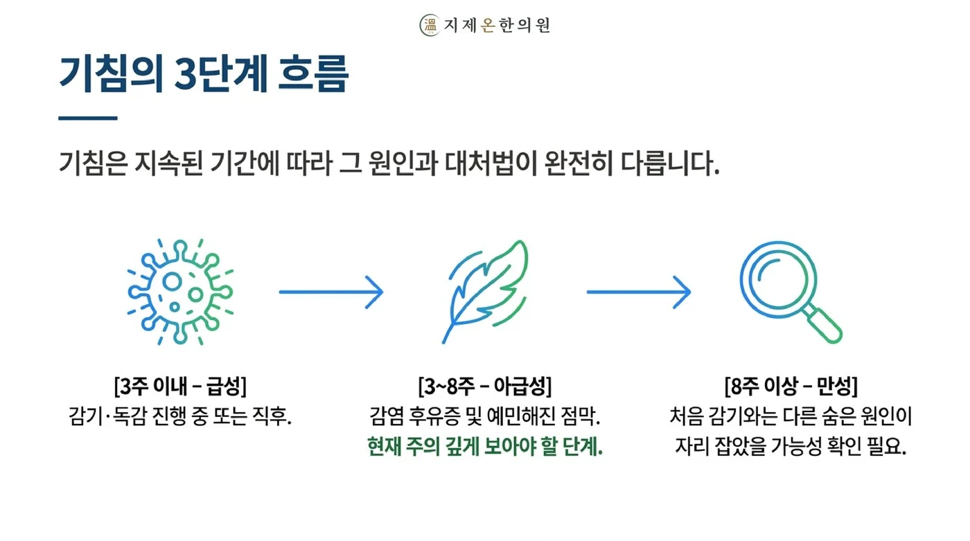 3주 이내 급성, 3주에서 8주 사이 아급성, 8주 이상 만성으로 나누어 보는 기침의 세 단계