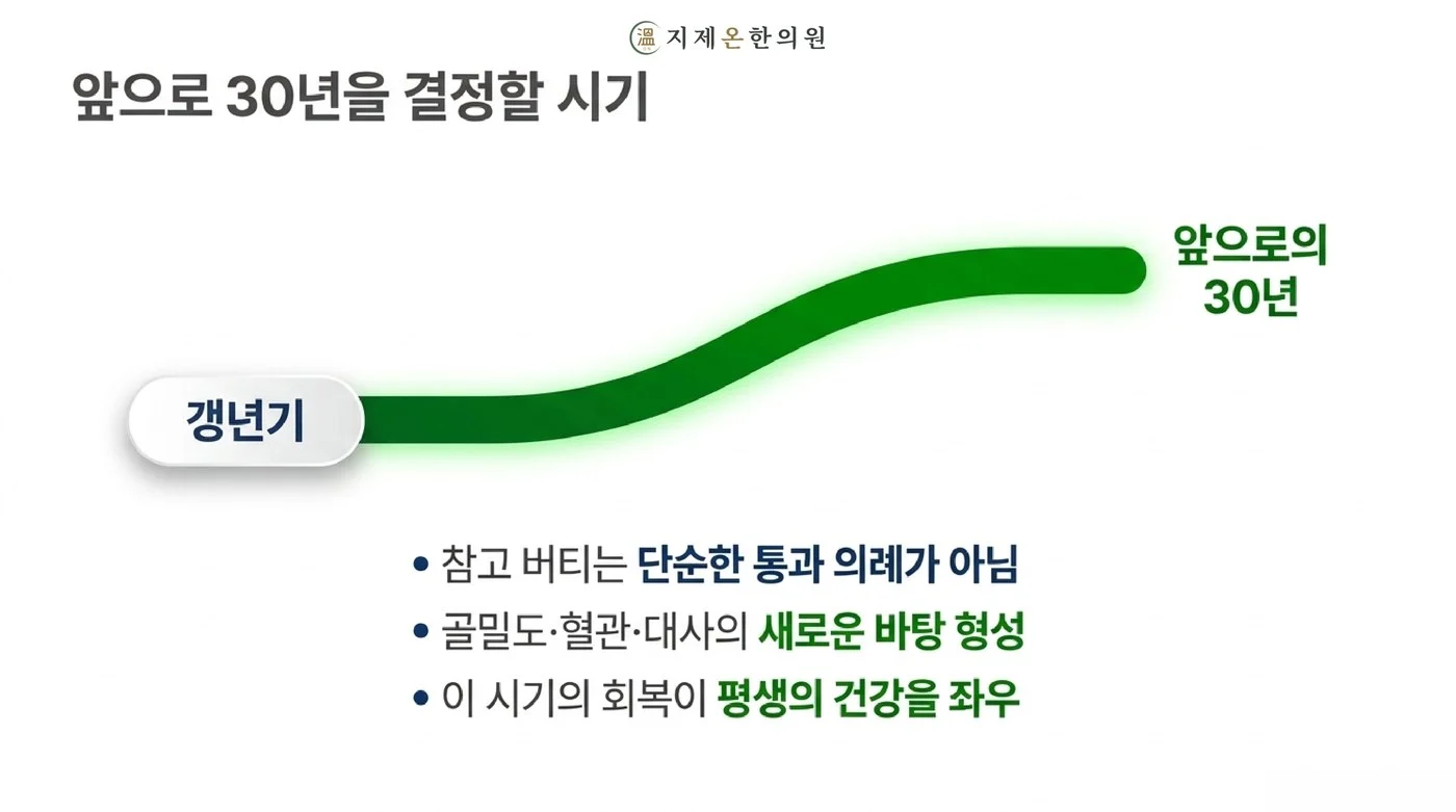 갱년기 시기의 회복이 골밀도·혈관·대사의 바탕을 만들어 이후 30년 건강을 좌우한다는 그래프