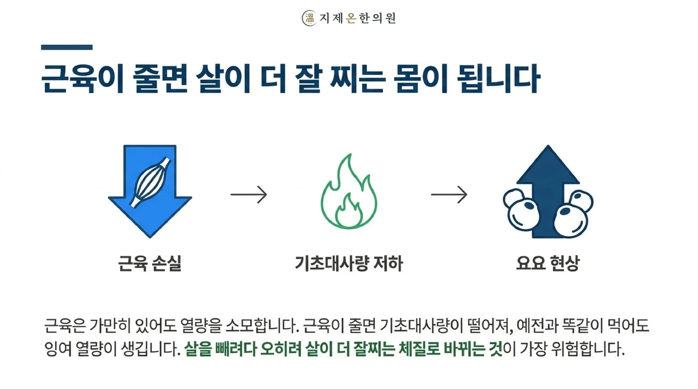 근육 손실이 기초대사량 저하로 이어지고 결국 요요로 돌아오는 흐름
