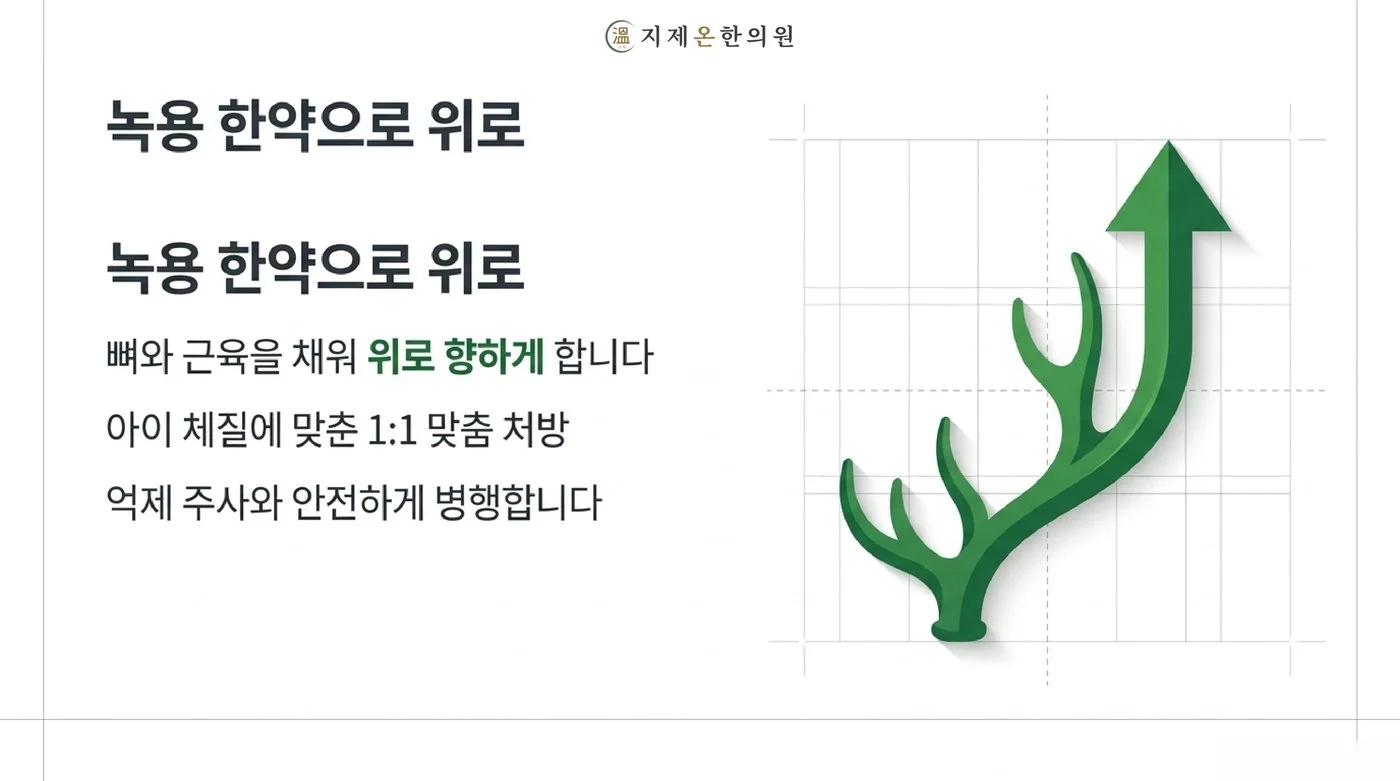 녹용 성장 한약, 아이 체질에 맞춘 처방으로 위로 자라는 쪽으로 방향을 잡는 치료