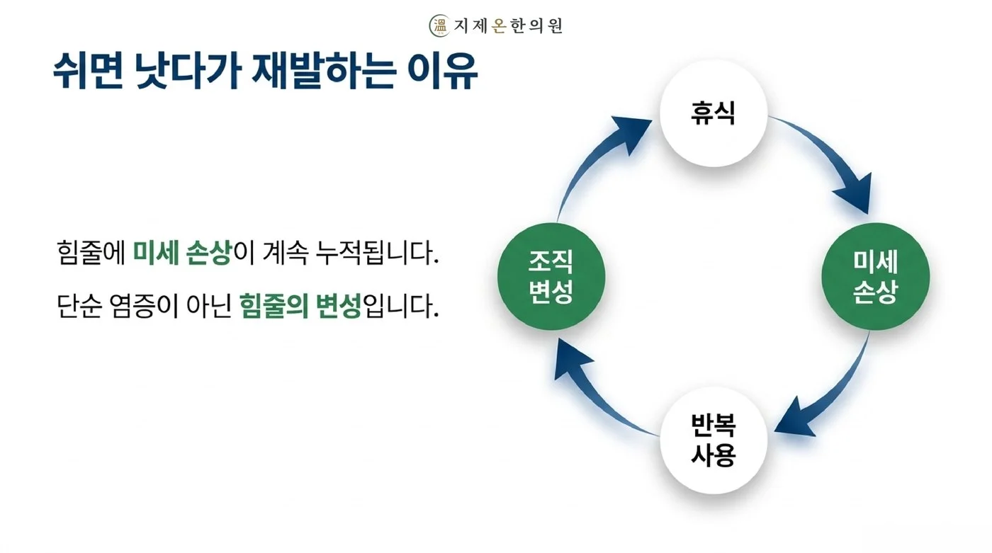 휴식과 반복 사용 사이에 힘줄의 미세 손상이 쌓여 조직이 변성되는 재발의 순환