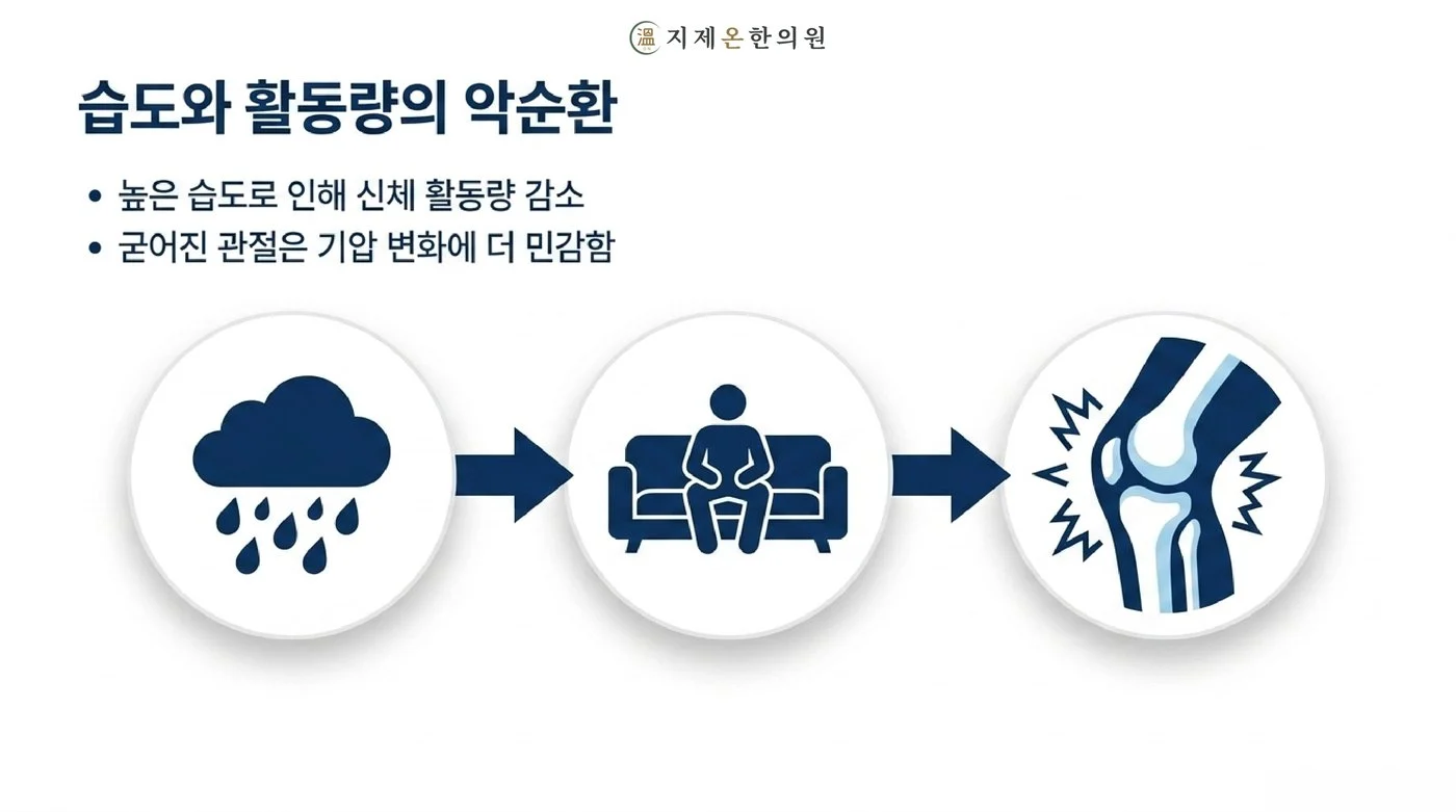 비와 높은 습도로 활동량이 줄고 굳어진 관절이 기압 변화에 더 민감해지는 악순환