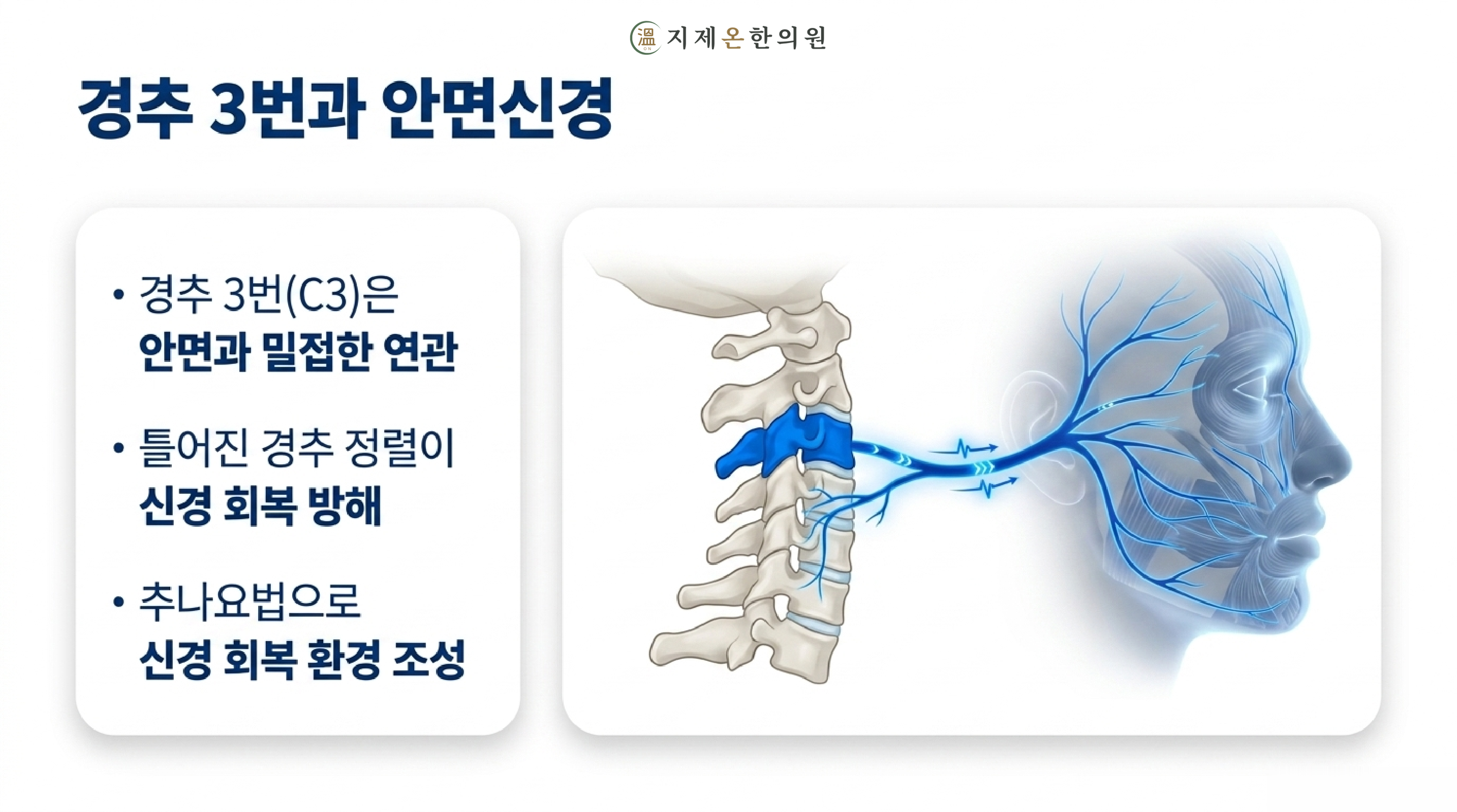 공진단 약침 추나요법을 활용한 한방 치료